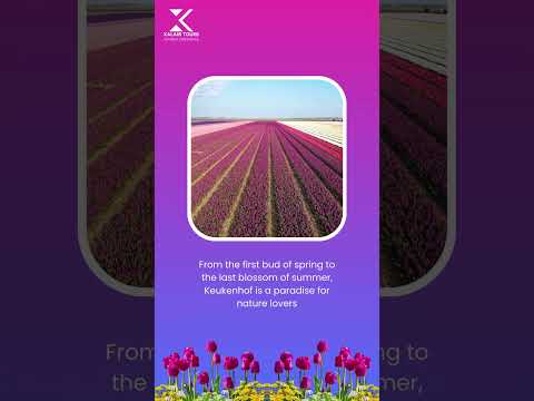 Keukenhof 2024 Tour Revealed: Xalam Tours Unveils the Ultimate Floral Paradise! #keukenhof #tulip