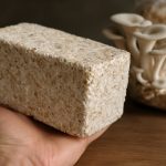 Navržené kompozity mycelia: Disruptivní růst a tržní výhled 2025–2030